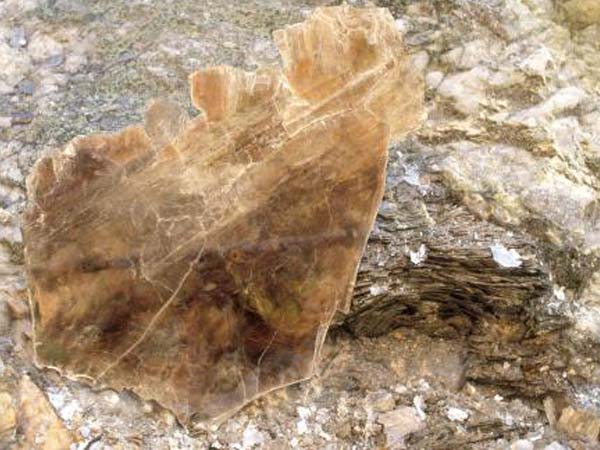 云母含鐵愈高時，顏色愈深，同時多色性和吸收性增強